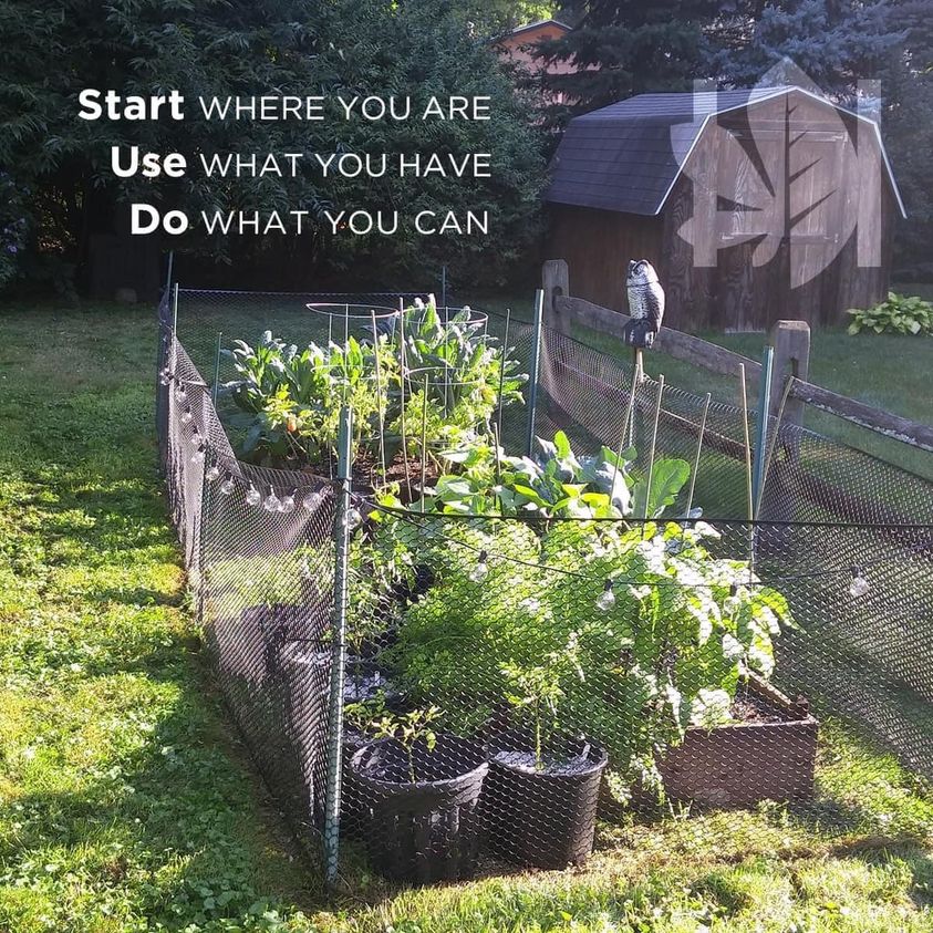 This meme features a humorous image of a garden with a chicken coop in the background. The text "Start where you are, use what you have, do what you can" is written in a playful, modern font, with the words "Start", "Use", and "Do" in bold. The image is meant to be a humorous and relatable take on the classic phrase "start where you are, use what you have, do what you can", with the addition of a garden and a chicken coop in the background, implying that one can start a garden or a chicken farm with what they have.
